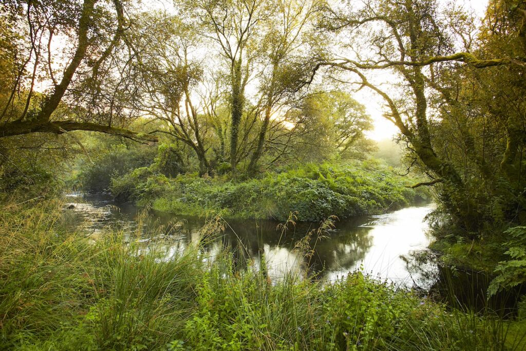 aLamoureux-EPAGA_MG_6760_ellez