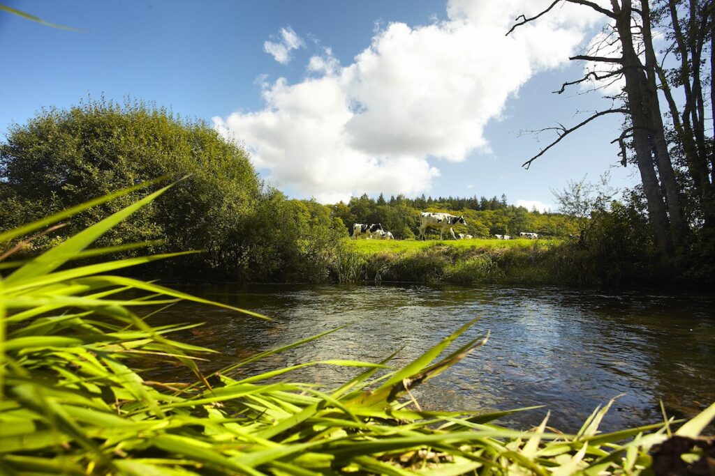 aLamoureux-EPAGA_MG_6944_poullaouen