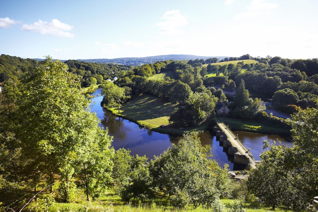 aLamoureux-EPAGA_MG_6989_aulne chateauneuf