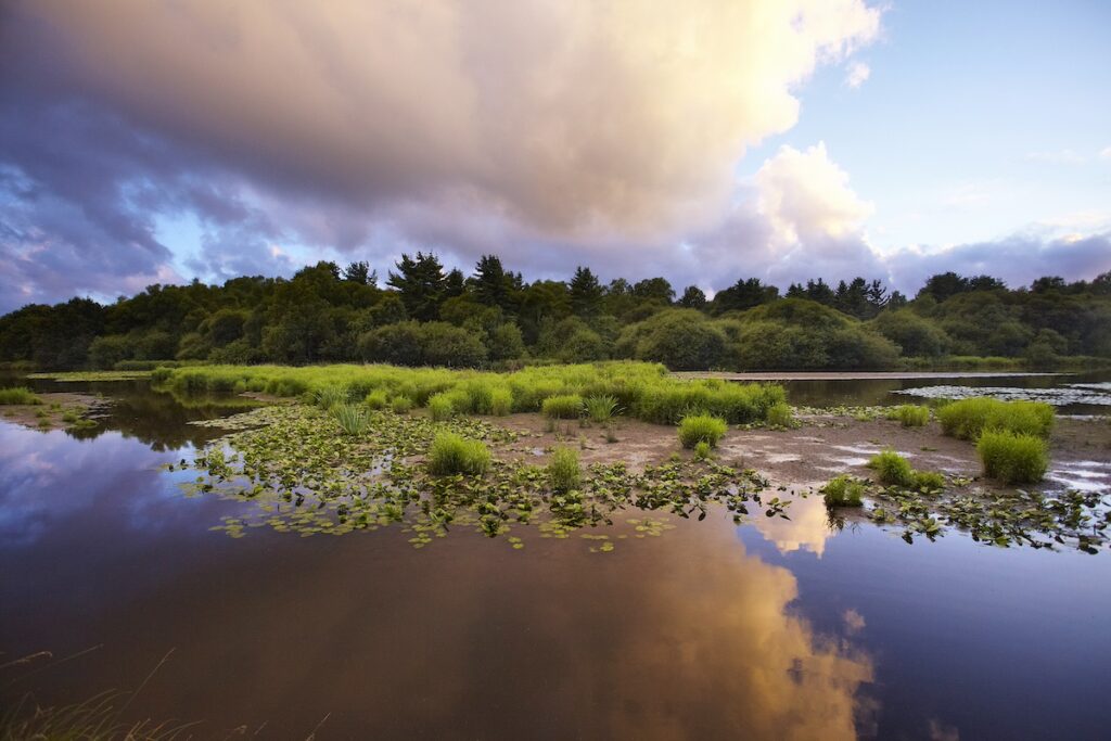 aLamoureux-EPAGA_MG_8699_douffine